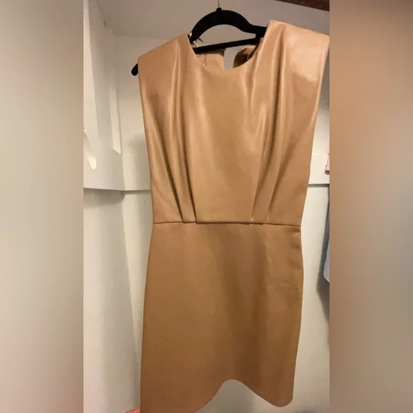 chinese dress ladies Ashlyn Vegan Leather Dress in Tan